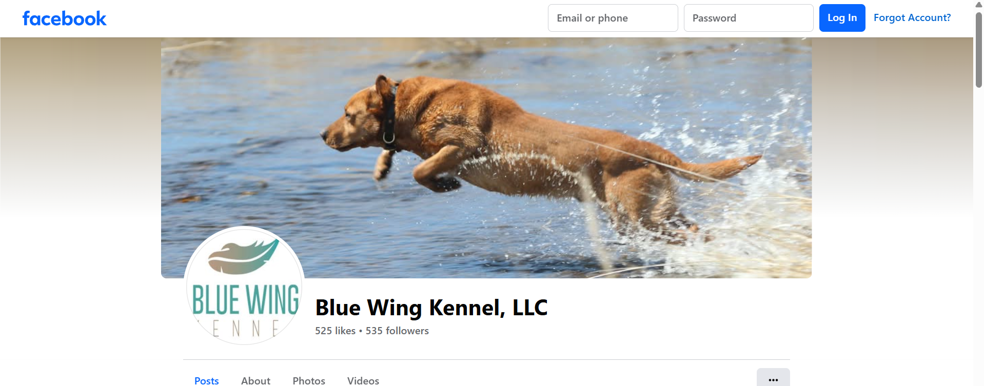 a screenshot of the blue wing kennel facebook page, which features the logo we designed in 2019.